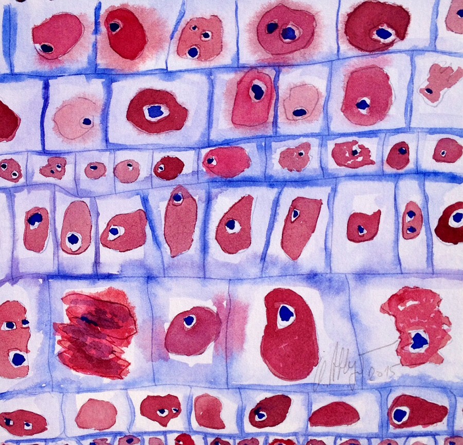 Jerrez - Costa de la Luz